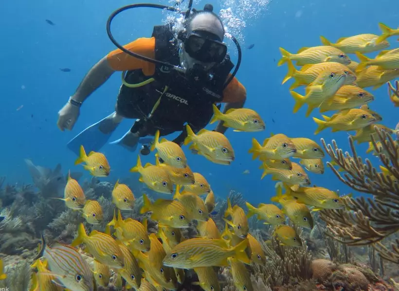 learn to dive Mexico learn to dive Mexico