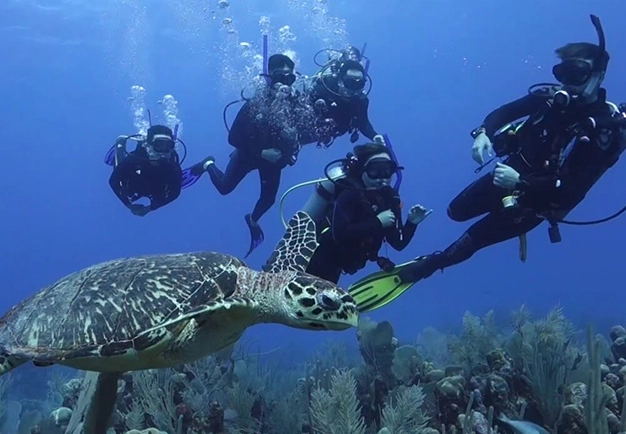 learn to dive Mexico learn to dive Mexico