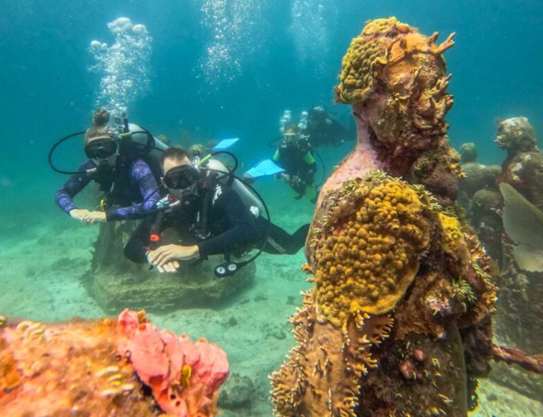 scuba diving Cozumel beginners scuba diving Cozumel beginners