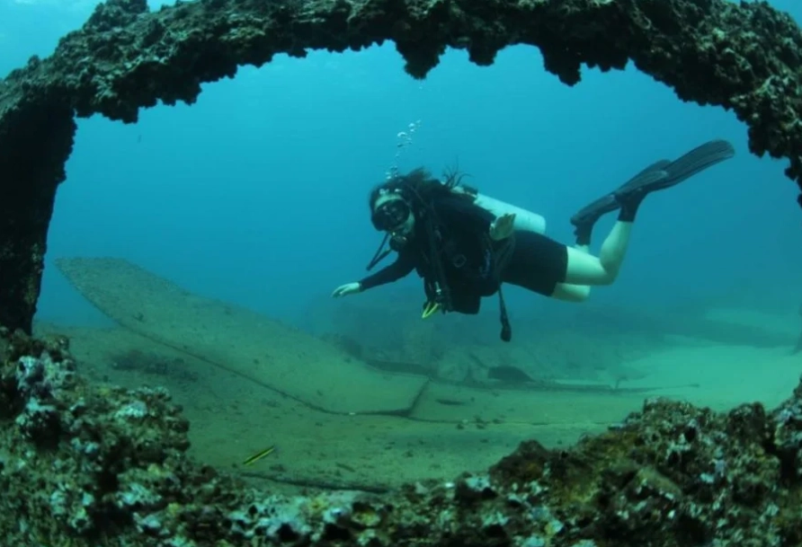 Best diving in mexico for beginners