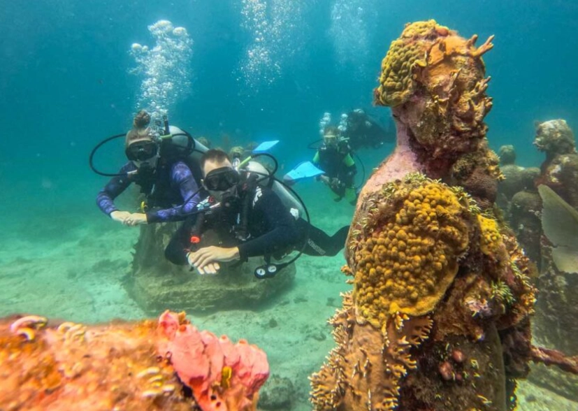 Cancun dive sites Cancun dive sites