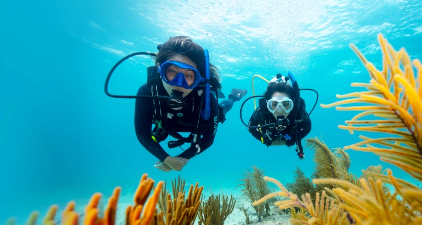 learn to scuba dive learn to scuba dive