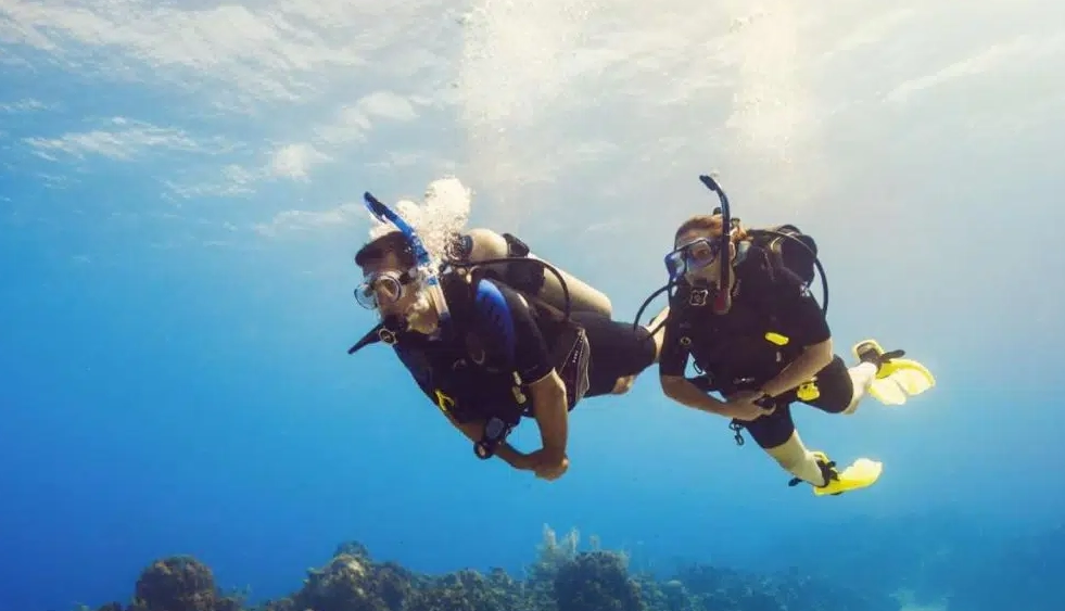 beginner diving guide