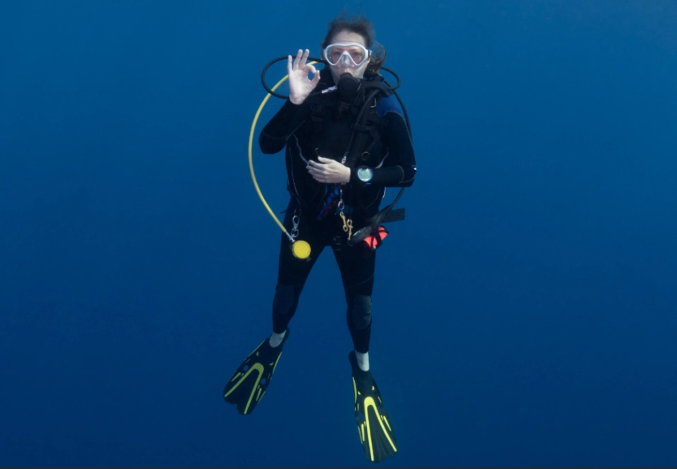 What are the golden rules of diving?