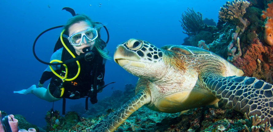 post-COVID diving travel