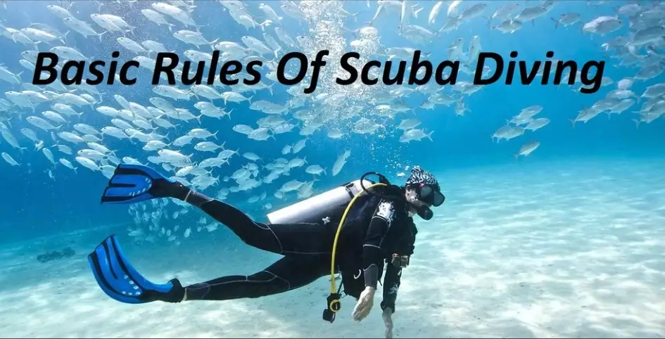 learn to dive learn to dive