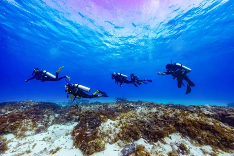 What is the most important rule in scuba diving