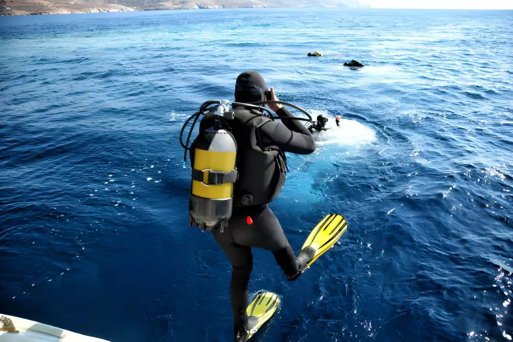 giant stride entry giant stride entry