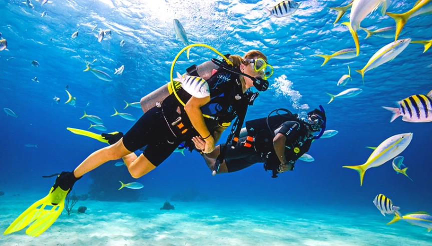scuba diving for beginners scuba diving for beginners