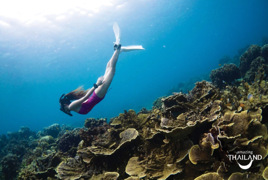 best diving in Thailand