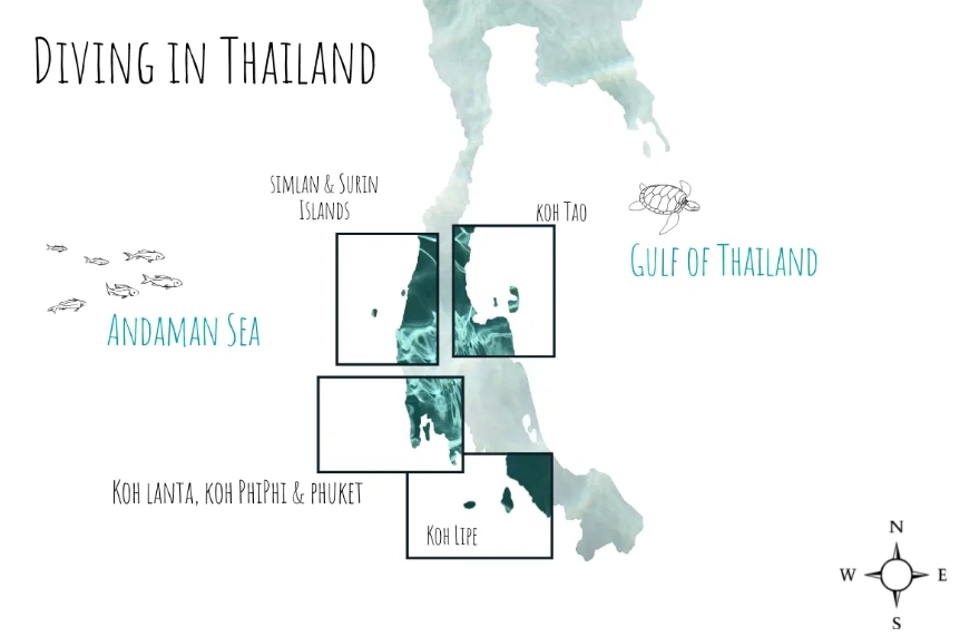 Similan Islands diving
