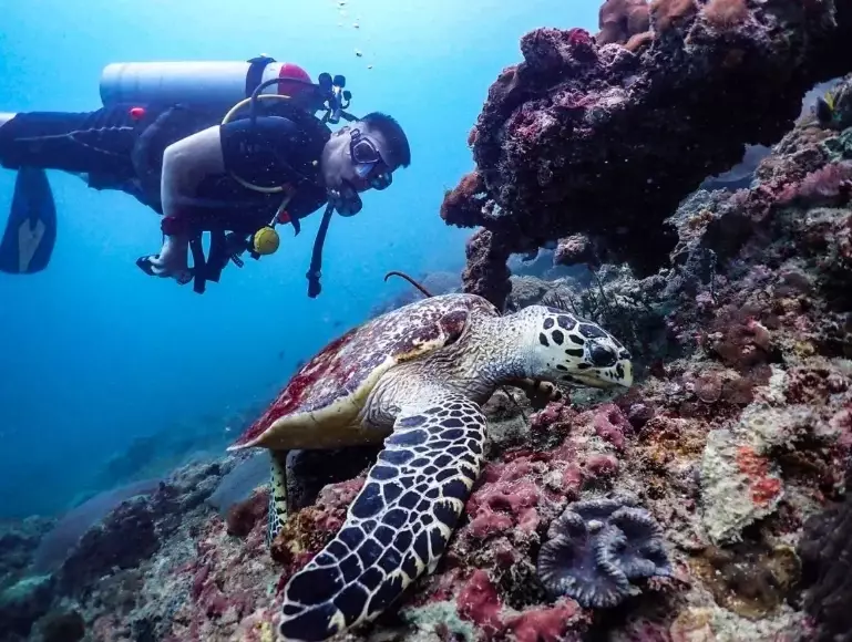 scuba diving Similan Islands scuba diving Similan Islands