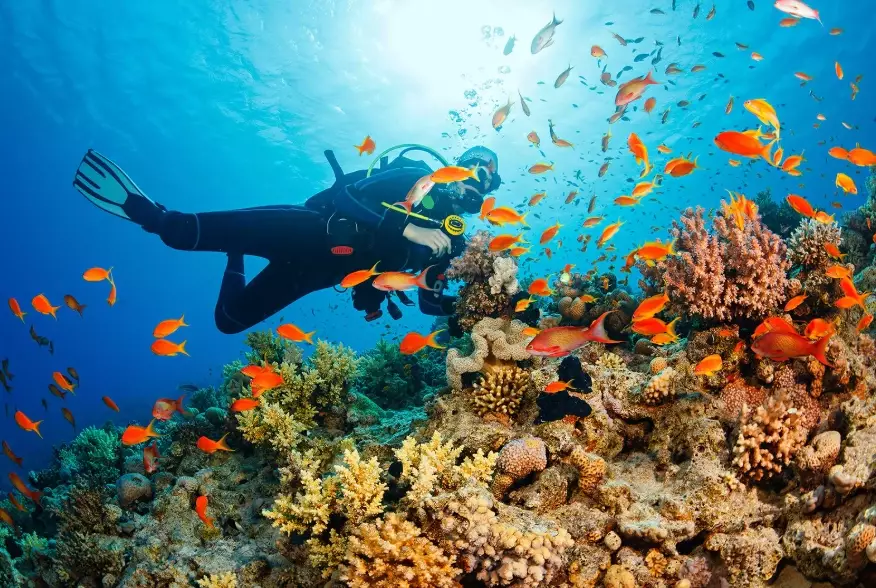 Is scuba diving in Thailand safe?