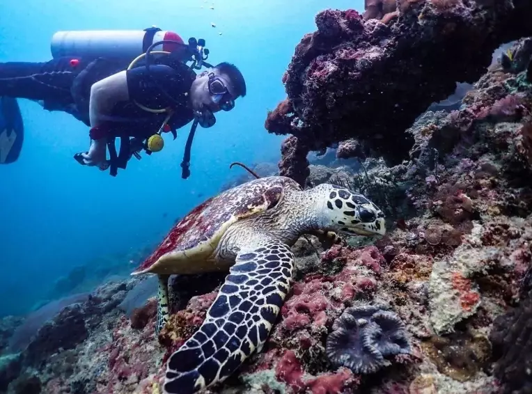 diving accidents Thailand diving accidents Thailand