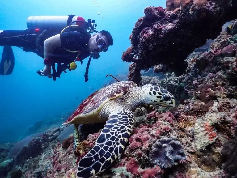 Best diving in Thailand