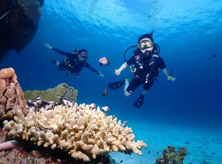 best scuba diving Thailand best scuba diving Thailand