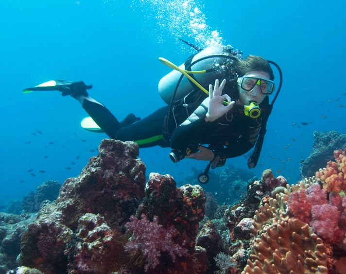 introductory dives introductory dives