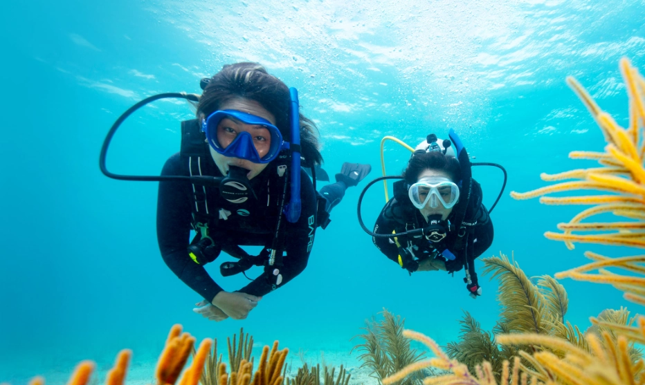 scuba diving basics