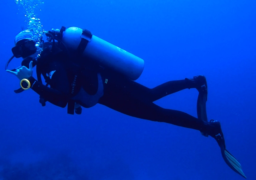 beginner diving techniques