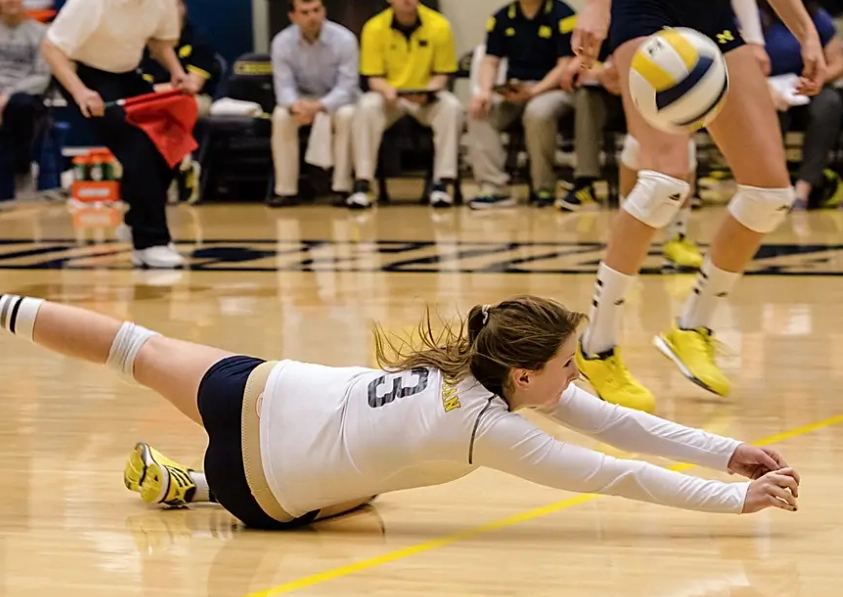 types of dives volleyball