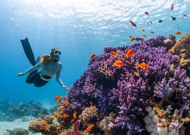 most dangerous type of diving