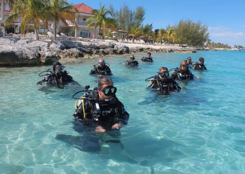 types of diving