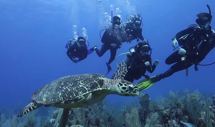 scuba diving Mexico