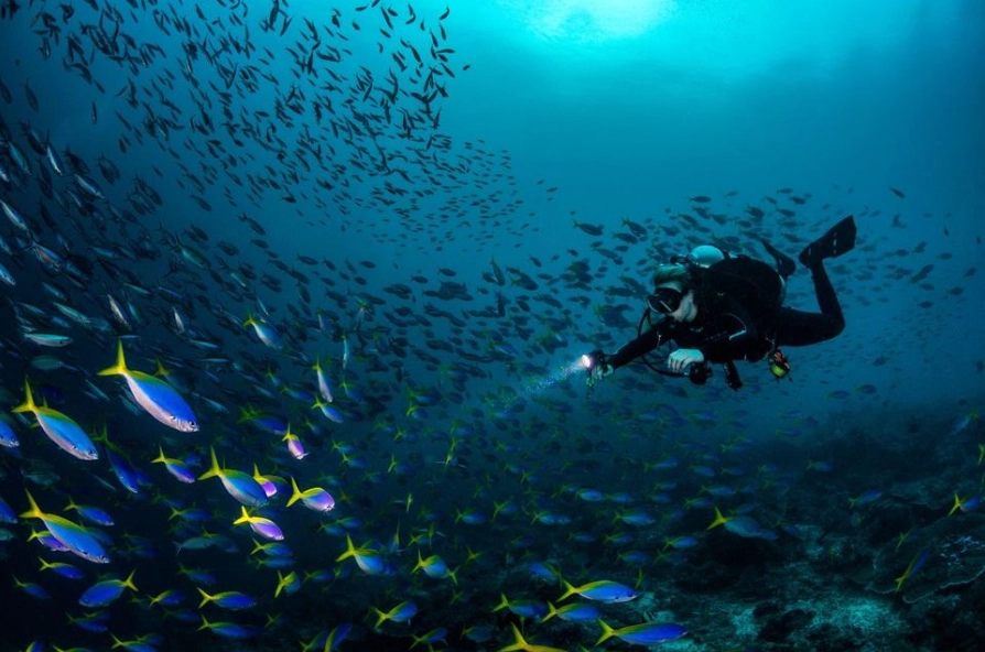 types of diving