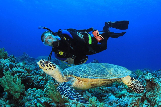 diving Cozumel