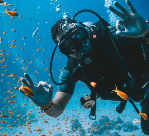 skydiving disciplines