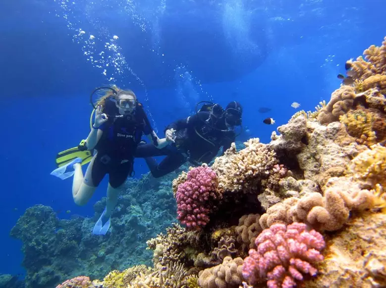 deep diving deep diving