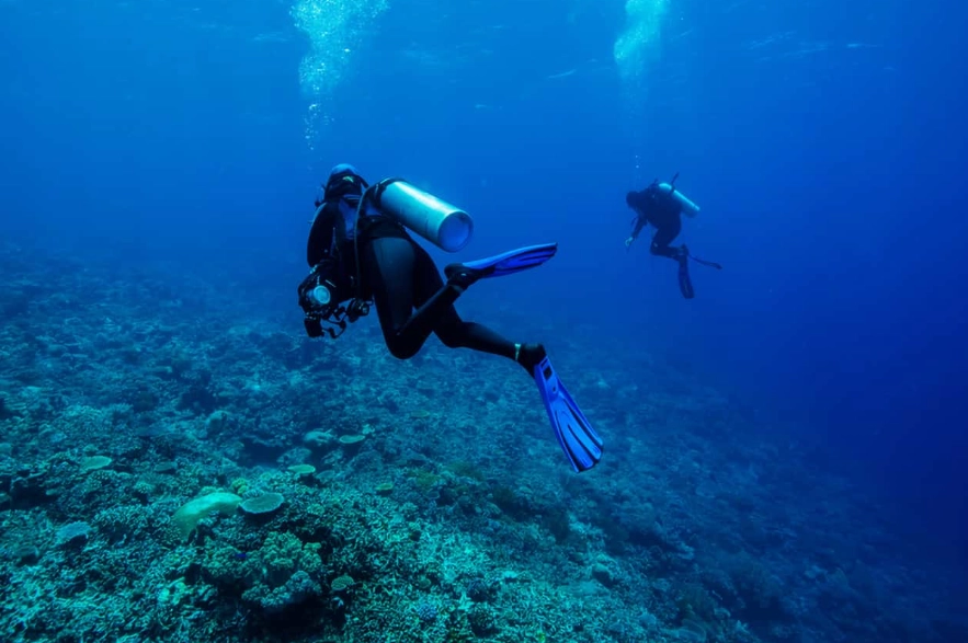 deep diving deep diving