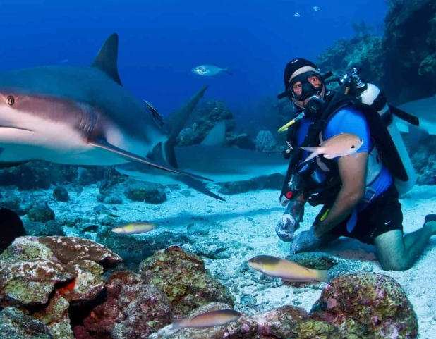 technical diving technical diving